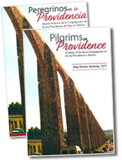 Pilgrims in Providence/Peregrinos en la Providencia book cover
